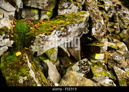 Sfondo astratto da pietre ricoperto da Moss, sharp pietre irregolari di vari tipi colorato e armonioso Foto Stock