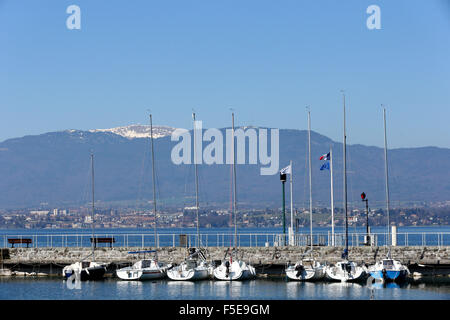 Barca a vela marina, Nernier sul Lago di Ginevra, Alta Savoia, Francia, Europa Foto Stock