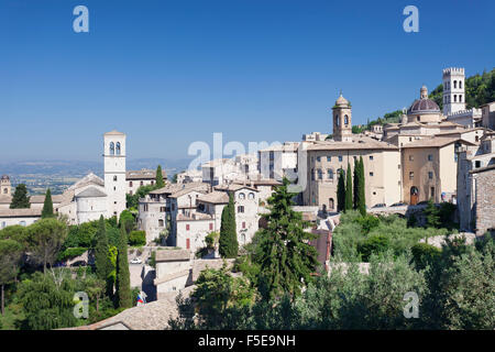 Assisi, comprensorio di Perugia, Umbria, Italia, Europa Foto Stock