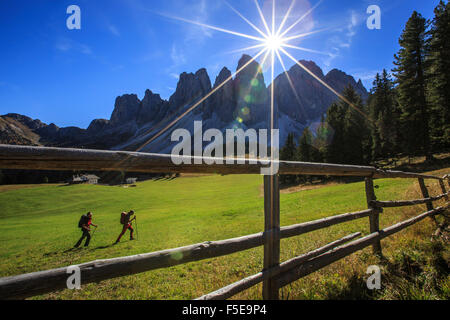 Gli escursionisti procedono dal Glatsch Alm con Odle in background, Val di Funes, Alto Adige, Dolomiti, Trentino-Alto Adige, Italia Foto Stock