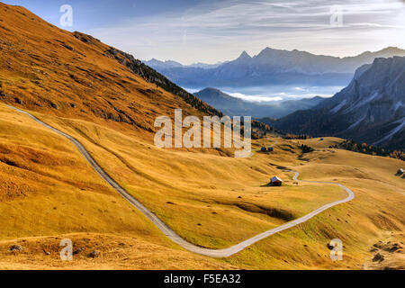 I colori autunnali nella valle intorno al gruppo Forcella de Furcia a sunrise, Val di Funes, Alto Adige, Dolomiti, Italia, Europa Foto Stock