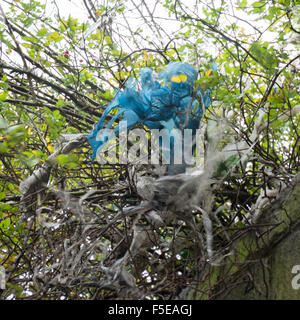 Blu e bianco catturato in plastica nella siepe - strappato e triturato dal vento - sfocatura intenzionale per illustrare al vento Foto Stock