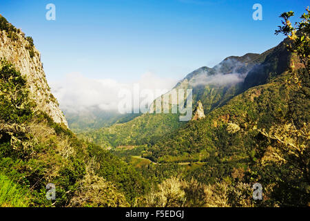 La Valle de Hermigua, Parque Nacional de Garajonay, Sito Patrimonio Mondiale dell'UNESCO, La Gomera, isole Canarie, Spagna, Europa Foto Stock