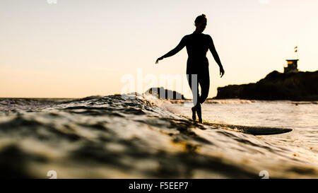 Silhouette di donna surf, Malibu, California, Stati Uniti d'America Foto Stock