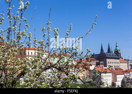 Castello di Praga Praga vista in primavera Hradcany quartiere Foto Stock