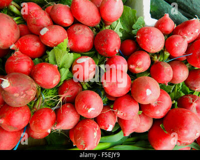 Rosso fresco ravanelli al mercato pronti per la vendita. Foto Stock