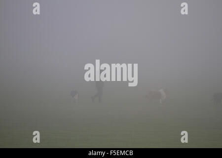 Dundee, Scotland, Regno Unito. 3 Novembre, 2015. Meteo REGNO UNITO: mite novembre mattina con fitta nebbia lambente Dundee. Il Met Office ha emesso un avviso di colore giallo per la fitta nebbia attraverso Tayside con scarsa visibilità di interrompere il flusso di traffico. Le persone con i loro cani appena visibile attraverso la fitta nebbia in un parco locale in Ardler Dundee. © Dundee fotografico / Alamy Live News. Foto Stock