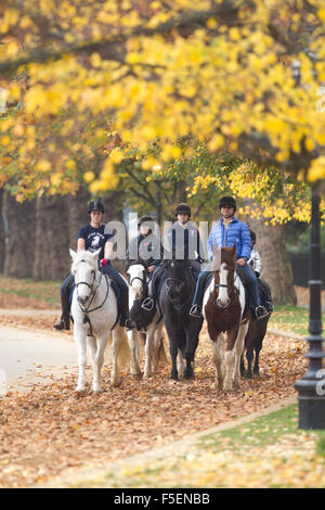 Hyde Park, London, Regno Unito. 3 Novembre, 2015. Immagine mostra i turisti facendo una passeggiata a cavallo attraverso la autunnale di Hyde Park, Londra, Regno Unito. Credito: Jeff Gilbert/Alamy Live News Foto Stock