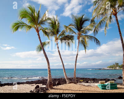 Una vista di palme da cocco e Pauoa Bay presso il Fairmont Orchid, un hotel di lusso sulla Costa Kohala della Hawai'i (Hawaii) Isola. Foto Stock