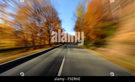 Conducente del motociclo in collezione autunno, Germania, vicino alla città di Braunlage 2. Novembre 2015. Foto: Frank può Foto Stock