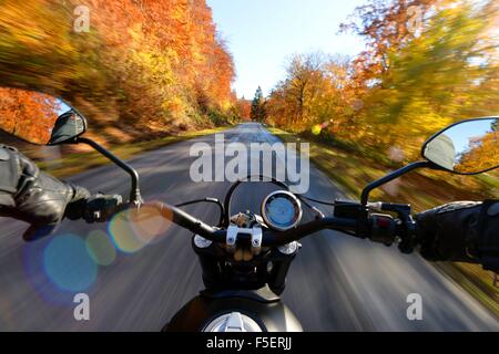 Conducente del motociclo in collezione autunno, Germania, vicino alla città di Braunlage 2. Novembre 2015. Foto: Frank può Foto Stock