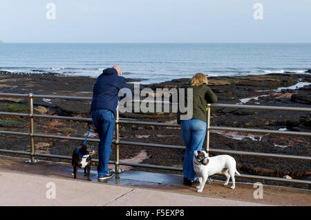 Paio di cane camminatori in vista di Preston Sands, Paington, Devon, Inghilterra. Foto Stock
