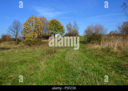 Lei è arrivata la natura in autunno immerso in splendidi colori autunnali per il relax Foto Stock