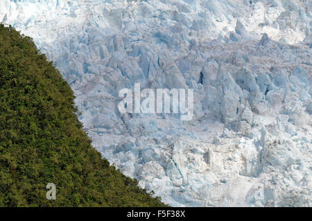 Ghiacciaio Franz Josef, un ghiacciaio a fondere a causa del cambiamento climatico, Franz Josef, Isola del Sud, Nuova Zelanda Foto Stock