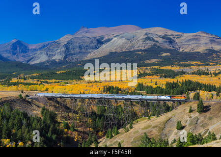 Treni passeggeri attraversando il traliccio in autunno sotto cime del parco nazionale di Glacier vicino oriente glacier park montana Foto Stock