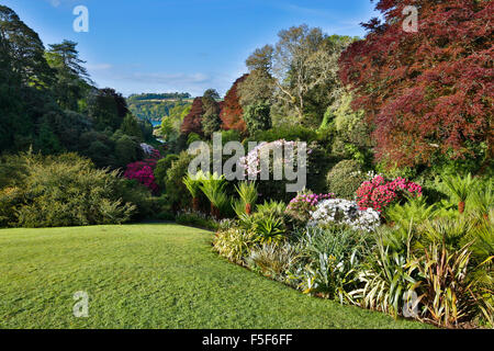 Giardino Trebah; la molla; Cornovaglia; Regno Unito Foto Stock