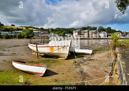 Truro; barca a Boscawen Park sul Fiume Fal; guardando verso Newham; Cornovaglia; Regno Unito Foto Stock