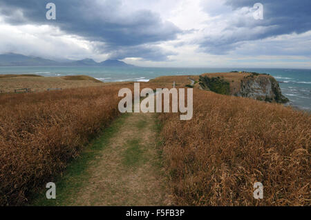 Vista panoramica della penisola marciapiede, Kaikoura, Isola del Sud, Nuova Zelanda Foto Stock