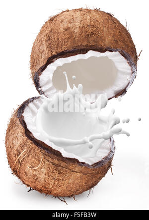 Noce di cocco con il latte splash al suo interno isolato su uno sfondo bianco. Foto Stock