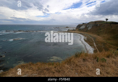 Vista panoramica dalla penisola marciapiede, Kaikoura, Isola del Sud, Nuova Zelanda Foto Stock