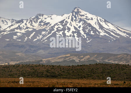 Mt. Ruapehu, Tongariro National Park, North Island, Nuova Zelanda Foto Stock