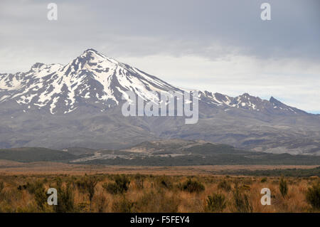 Mt. Ruapehu, Tongariro National Park, North Island, Nuova Zelanda Foto Stock