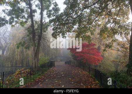 Waterlow Park nella nebbia, a nord di Londra, Regno Unito Foto Stock