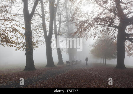 Waterlow Park nella nebbia, a nord di Londra, Regno Unito Foto Stock