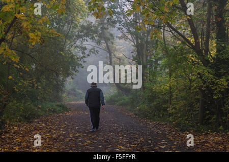 Il Parco a piedi in Highgate in una nebbiosa mattina, London, Regno Unito Foto Stock