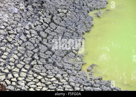 Devil's bagno, Waiotapu Thermal Wonderland, Rotorua, Isola del nord, Nuova Zelanda Foto Stock