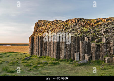 Basalto colonnare affioramento, Dverghamrar Nana (scogliere), vicino a Foss, Islanda Foto Stock