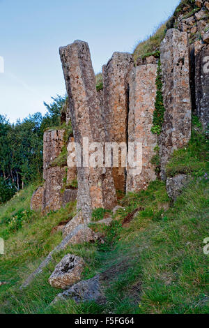 Basalto colonnare affioramento, Dverghamrar Nana (scogliere), vicino a Foss, Islanda Foto Stock