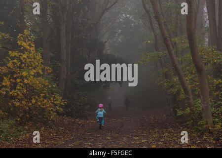 Il Parco a piedi in Highgate in una nebbiosa mattina, London, Regno Unito Foto Stock