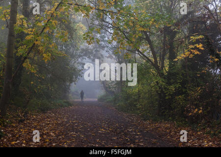 Il Parco a piedi in Highgate in una nebbiosa mattina, London, Regno Unito Foto Stock