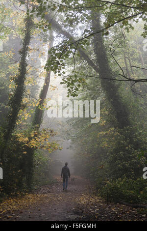 Il Parco a piedi in Highgate in una nebbiosa mattina, London, Regno Unito Foto Stock