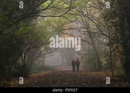 Il Parco a piedi in Highgate in una nebbiosa mattina, London, Regno Unito Foto Stock