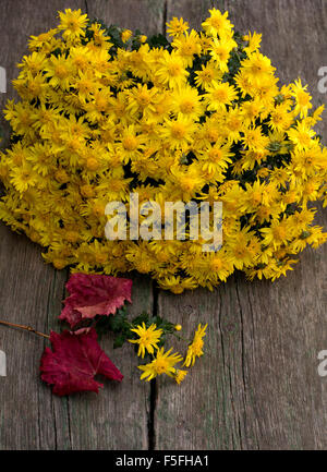 Bouquet di bellissimi fiori di colore giallo e rosso foglia, still life Foto Stock