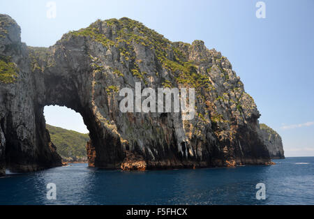 Archway Isola, Tawhiti Rahi, POVERI CAVALIERI Isole riserva naturale, la Baia delle Isole, Isola del nord, Nuova Zelanda Foto Stock