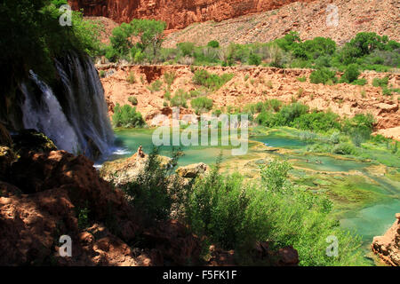 Beaver Creek porzione lungo il sentiero per Havasu cade sul Havasupai Indian Reservation in Arizona Foto Stock