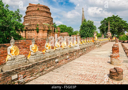 Ayutthaya (Thailandia), statue di Buddha in un vecchio tempio rovine Foto Stock