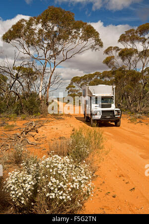 La trazione a quattro ruote motrici camper sulla sabbia rossa outback via orlati con fiori selvaggi & mallee boschi in Murray Tramonto National Park Victoria Australia Foto Stock