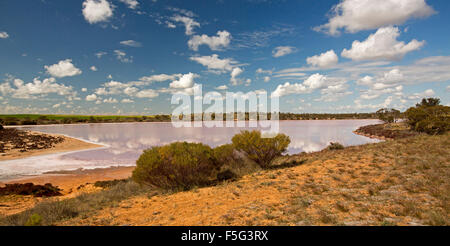 Vista panoramica del lago di Crozier con insolito vivace colorazione rosa di acqua calma sotto il cielo blu a Murray Tramonto Parco Nazionale in outback Australia Foto Stock