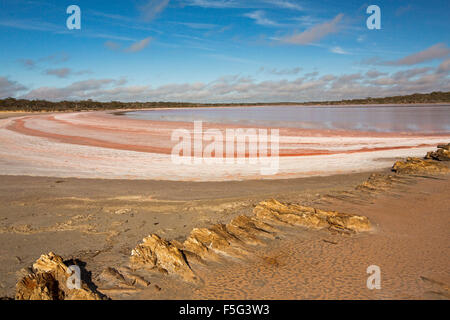 Vasto paesaggio outback con insoliti vivid pink strati di sale accanto a calma blu e rosa le acque del lago in Murray Tramonto Parco Nazionale Australia Foto Stock