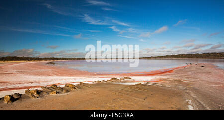Vista panoramica del paesaggio outback con insoliti vivid pink strati di sale accanto a calma blu e rosa le acque del lago, Murray Tramonto National Pk Australia Foto Stock