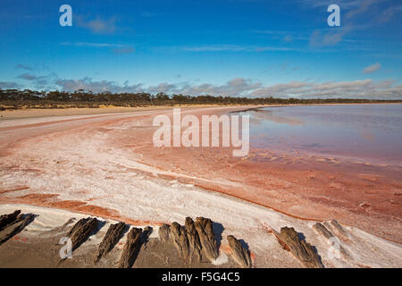 Vasto paesaggio outback con insoliti vivid pink strati di sale accanto a calma blu e rosa le acque del lago in Murray Tramonto Parco Nazionale Australia Foto Stock