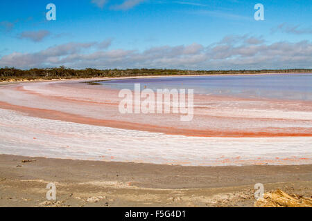 Vasto paesaggio outback con insoliti vivid pink strati di sale accanto a calma blu e rosa le acque del lago in Murray Tramonto Parco Nazionale Australia Foto Stock