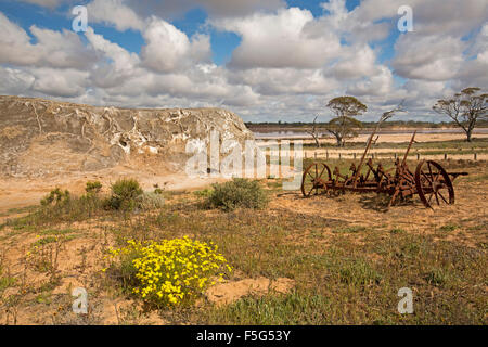 Storico di apparecchiature di data mining & mucchio di sale nel paesaggio con fiori selvatici giallo accanto a pink Salt Lake in Murray Tramonto Parco Nazionale outback Australia Foto Stock