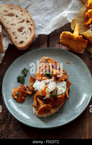 Wild girolle funghi e uovo in camicia su toast Foto Stock