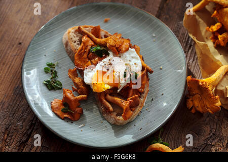 Wild girolle funghi e uovo in camicia su toast Foto Stock