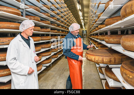 La stagionatura del formaggio ruote essendo campionata a Kaltbach grotte, uno dei più grandi giacimenti di formaggio in Svizzera. Foto Stock